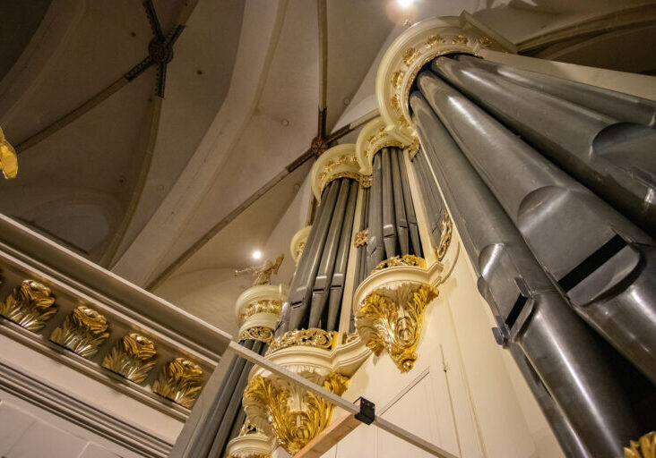 Orgel (5)